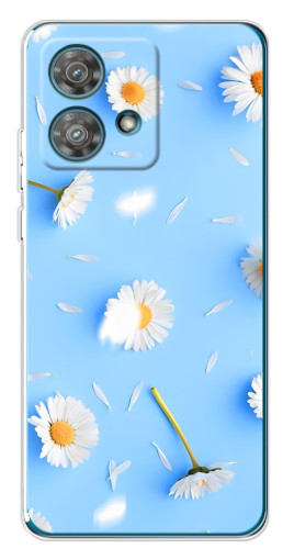 Чехол с картинкой "Ромашковый фон" для Motorola Edge 40 Neo
