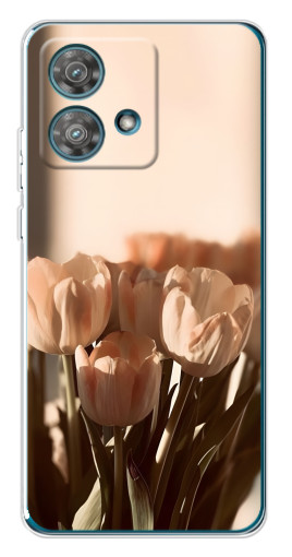 Силиконовый чехол с изображением "Тюльпаны на солнце" для Motorola Edge 40 Neo