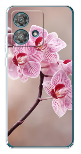 Чехол с печатью "Веточка орхидеи" для Motorola Edge 40 Neo