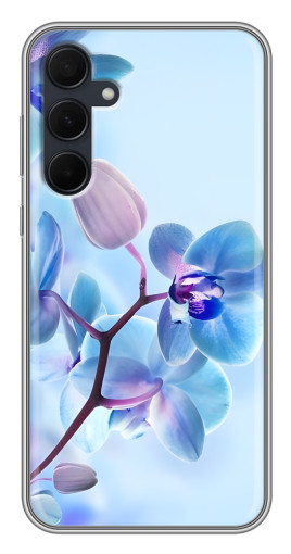 Чехол с картинкой "Голубые орхидеи" для Samsung Galaxy A35 (5G)
