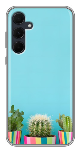 Чехол с картинкой "Маленькие кактусы" для Samsung Galaxy A35 (5G)