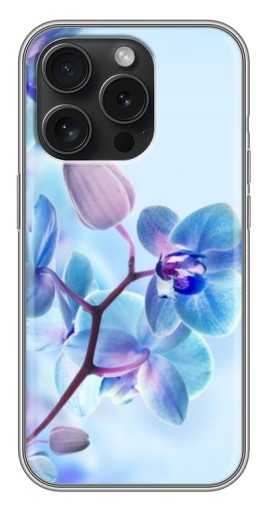Чехол с картинкой "Голубые орхидеи" для iPhone 16 Pro