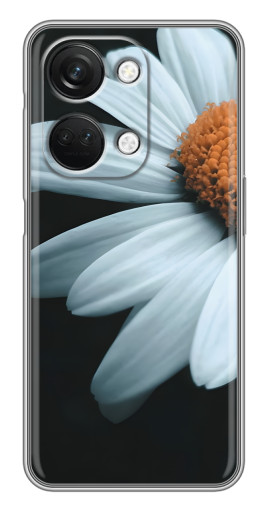 Чехол с принтом "Белая ромашка" для OnePlus Nord 3 5G