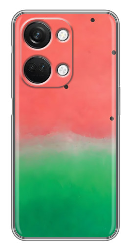 Силиконовый чехол с изображением "Дизайн арбуза" для OnePlus Nord 3 5G