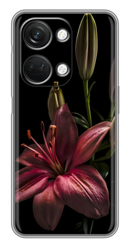 Чехол с печатью "Красная лилия " для OnePlus Nord 3 5G
