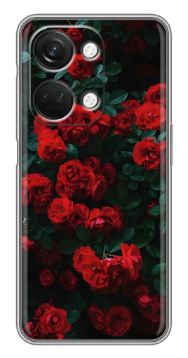 Чехол с принтом "Красные розы" для OnePlus Nord 3 5G