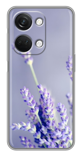 Чехол с картинкой "Лаванда вблизи" для OnePlus Nord 3 5G