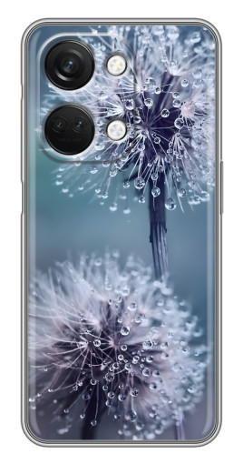 Чехол с печатью "Одуванчик с капельками" для OnePlus Nord 3 5G