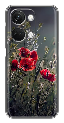 Чехол с картинкой "Поле цветов" для OnePlus Nord 3 5G
