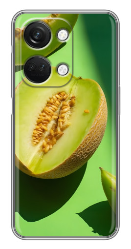 Чехол с картинкой "Сочная Дыня" для OnePlus Nord 3 5G