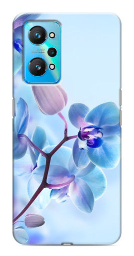 Чехол с печатью "Голубые орхидеи" для Realme GT Neo 2