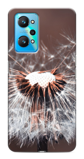 Чехол с печатью "Одуванчик вблизи" для Realme GT Neo 2