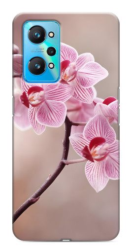 Чехол с печатью "Веточка орхидеи" для Realme GT Neo 2