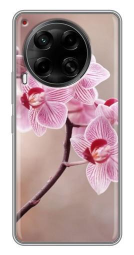 Чехол с принтом "Веточка орхидеи" для Tecno Camon 30 (CL6)