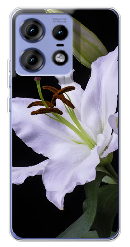 Чехол с принтом "Большая лилия" для Motorola Edge 50 Pro