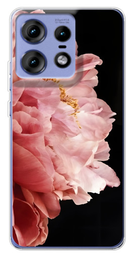 Чехол с печатью "Большой пион " для Motorola Edge 50 Pro