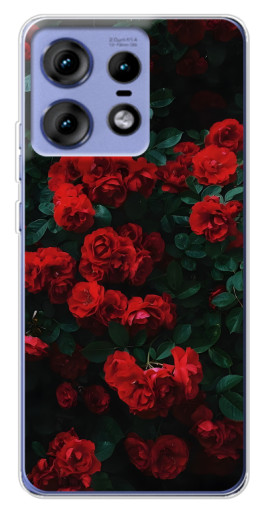 Чехол с картинкой "Красные розы" для Motorola Edge 50 Pro