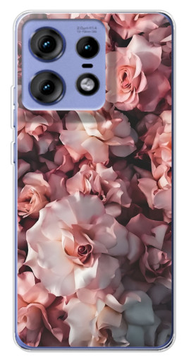 Чехол с картинкой "Куст роз" для Motorola Edge 50 Pro