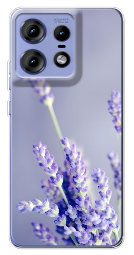 Чехол с печатью "Лаванда вблизи" для Motorola Edge 50 Pro