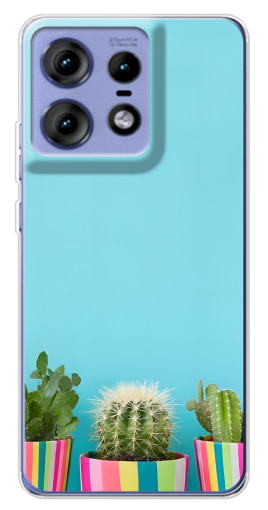 Чехол с печатью "Маленькие кактусы" для Motorola Edge 50 Pro