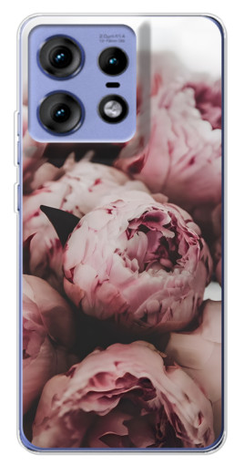 Чехол с принтом "Нежные пионы" для Motorola Edge 50 Pro