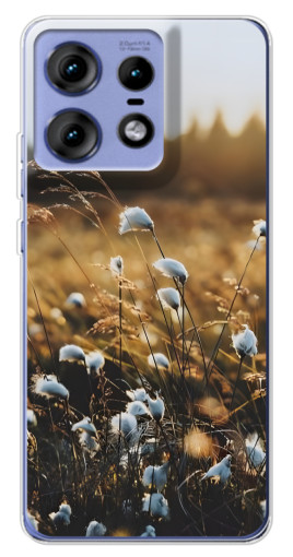 Чехол с принтом "Нежные полевые цветы" для Motorola Edge 50 Pro