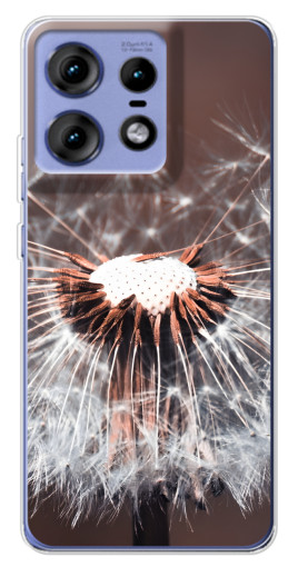 Чехол с принтом "Одуванчик вблизи" для Motorola Edge 50 Pro