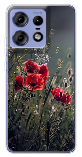 Чехол с принтом "Поле цветов" для Motorola Edge 50 Pro