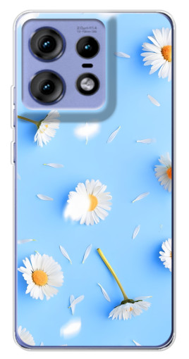 Силиконовый чехол с изображением "Ромашковый фон" для Motorola Edge 50 Pro