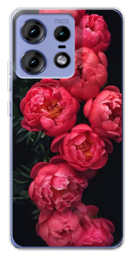 Чехол с печатью "Яркие пионы" для Motorola Edge 50 Pro
