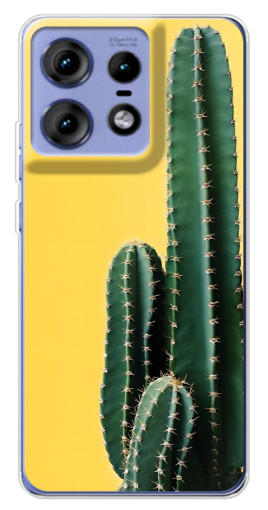 Чехол с картинкой "Яркий кактус" для Motorola Edge 50 Pro