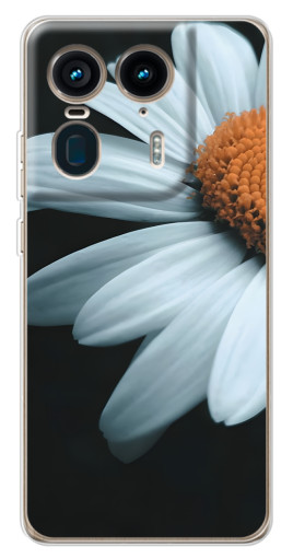 Чехол с принтом "Белая ромашка" для Motorola Edge 50 Ultra