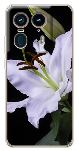 Чехол с принтом "Большая лилия" для Motorola Edge 50 Ultra