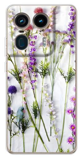 Чехол с принтом "Фон полевых цветов" для Motorola Edge 50 Ultra