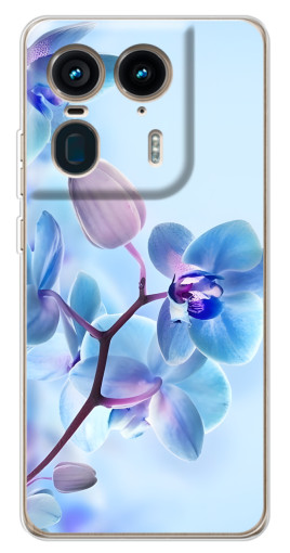 Чехол с печатью "Голубые орхидеи" для Motorola Edge 50 Ultra