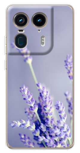Чехол с печатью "Лаванда вблизи" для Motorola Edge 50 Ultra