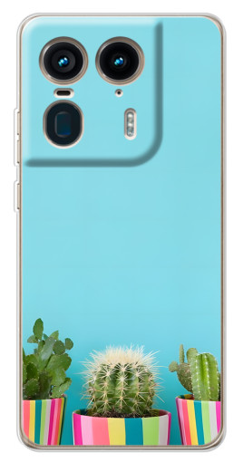 Чехол с принтом "Маленькие кактусы" для Motorola Edge 50 Ultra