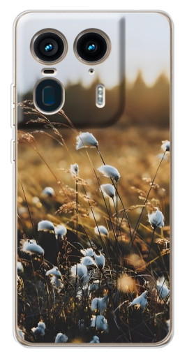 Чехол с принтом "Нежные полевые цветы" для Motorola Edge 50 Ultra