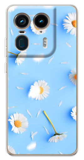 Чехол с печатью "Ромашковый фон" для Motorola Edge 50 Ultra