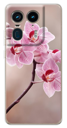 Чехол с печатью "Веточка орхидеи" для Motorola Edge 50 Ultra