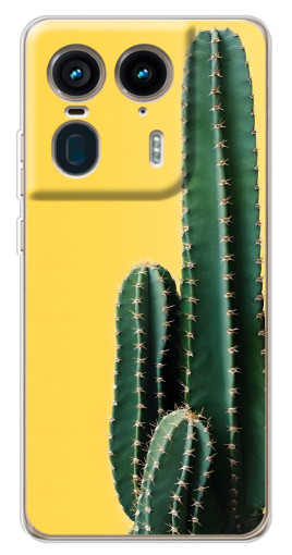 Чехол с печатью "Яркий кактус" для Motorola Edge 50 Ultra