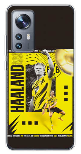 Чехол с принтом "Golden Haaland" для Xiaomi 12 / 12X