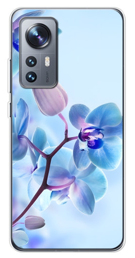 Чехол с картинкой "Голубые орхидеи" для Xiaomi 12 / 12X