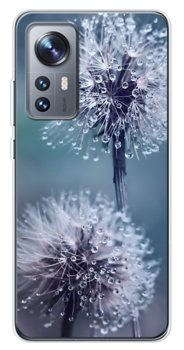 Чехол с картинкой "Одуванчик с капельками" для Xiaomi 12 / 12X