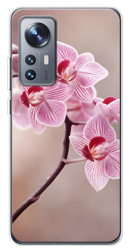 Чехол с печатью "Веточка орхидеи" для Xiaomi 12 / 12X