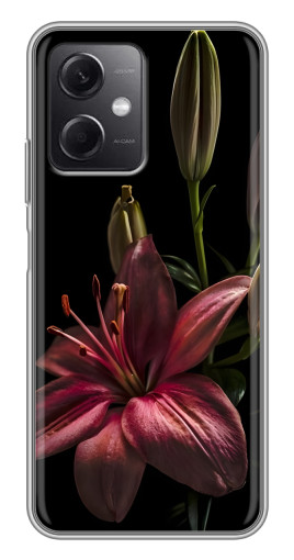 Чехол с картинкой "Красная лилия " для Xiaomi Redmi Note 12 (5G)