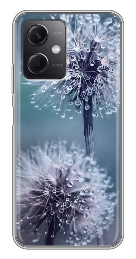 Чехол с принтом "Одуванчик с капельками" для Xiaomi Redmi Note 12 (5G)