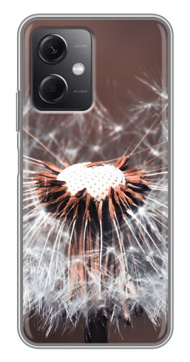 Чехол с печатью "Одуванчик вблизи" для Xiaomi Redmi Note 12 (5G)