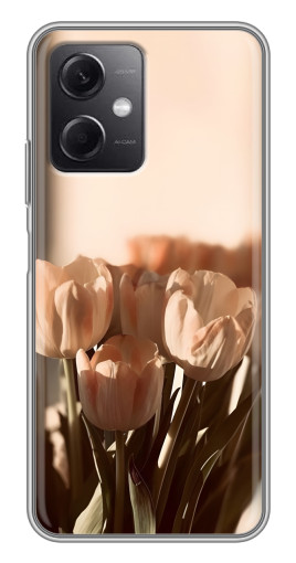 Чехол с печатью "Тюльпаны на солнце" для Xiaomi Redmi Note 12 (5G)