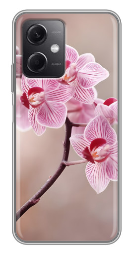Чехол с печатью "Веточка орхидеи" для Xiaomi Redmi Note 12 (5G)